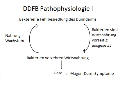 DDFB Pathophysiologie I